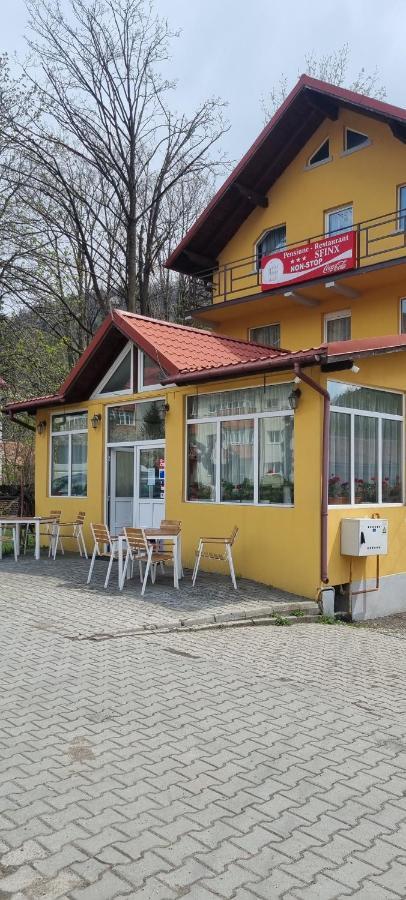 בוסטאני Pensiune Restaurant Sfinx מראה חיצוני תמונה