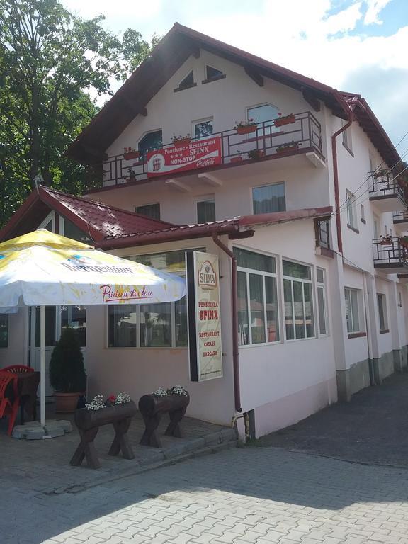 בוסטאני Pensiune Restaurant Sfinx מראה חיצוני תמונה